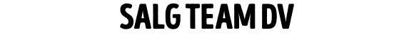 SALG TEAM DV